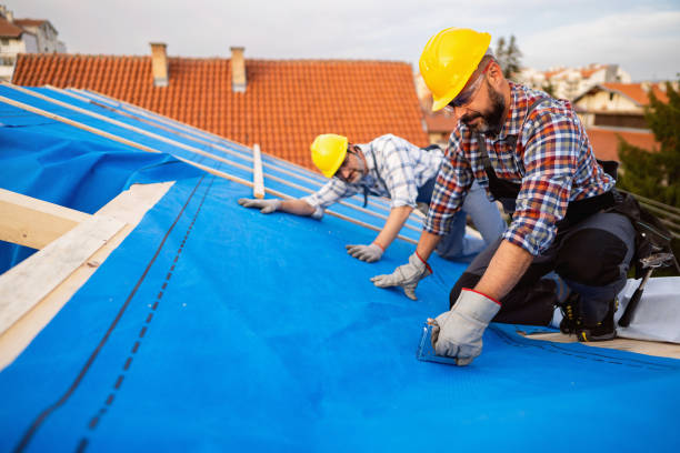 Best Metal Roofing Contractor  in Nazareth College, NY