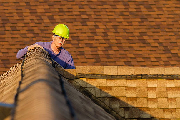 Best Roof Gutter Cleaning  in Nazareth College, NY
